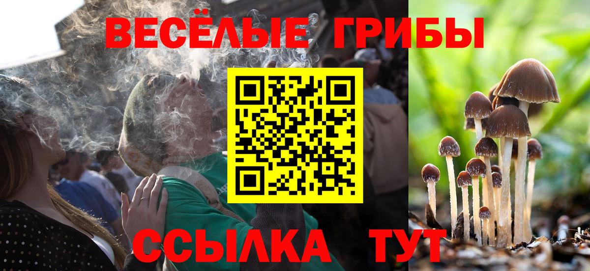 Псилоцибиновые грибы мицелий  Вход с VPN  продажа наркотиков  Долгопрудный 